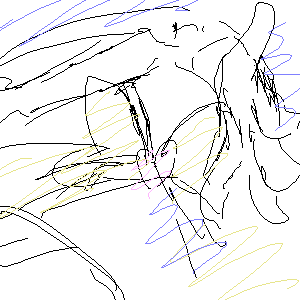 Re: 探しに行くよ by ししるいるい 26/02/16