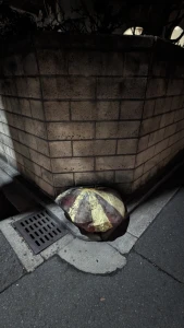 Re: 要らない画像 by anonymous