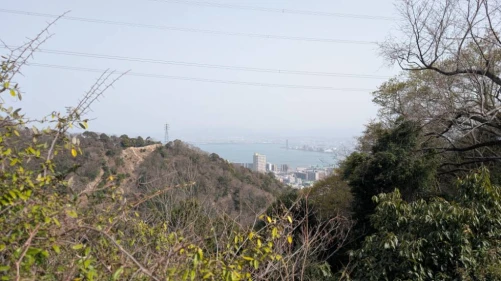 Re: ビワハンいくよー by ケッタヒューマン3号