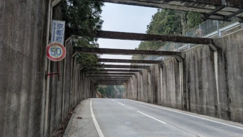 Re: ビワハンいくよー by ケッタヒューマン3号