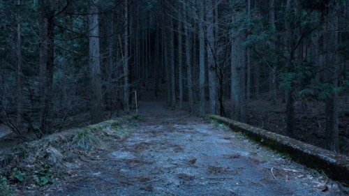 Re: ビワハンいくよー by ケッタヒューマン3号