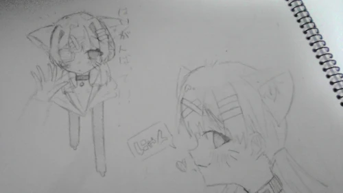 Re: アナログが一番！ by ,,,*シマエナガ*,,, 26/02/21