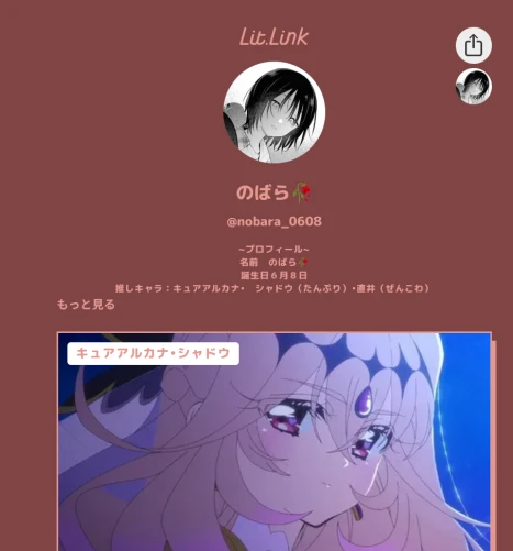 リットリンクです🥀 by のばら 26/06/03